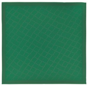Longchamp Shawl Green | MKY-709514