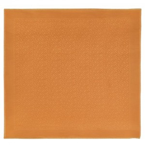 Longchamp Shawl Saffron | YCV-180257