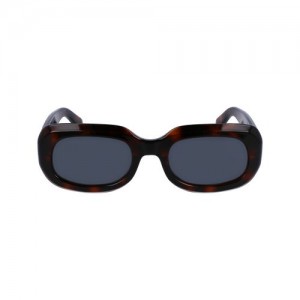 Longchamp Sunglasses Havana | MZQ-903658
