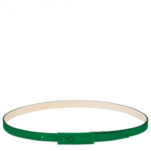 Longchamp belt Green | FTA-573146