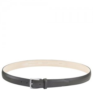 Longchamp belt Grey | AYD-250784