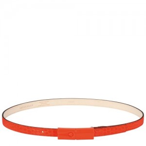 Longchamp belt Orange | VNL-708395